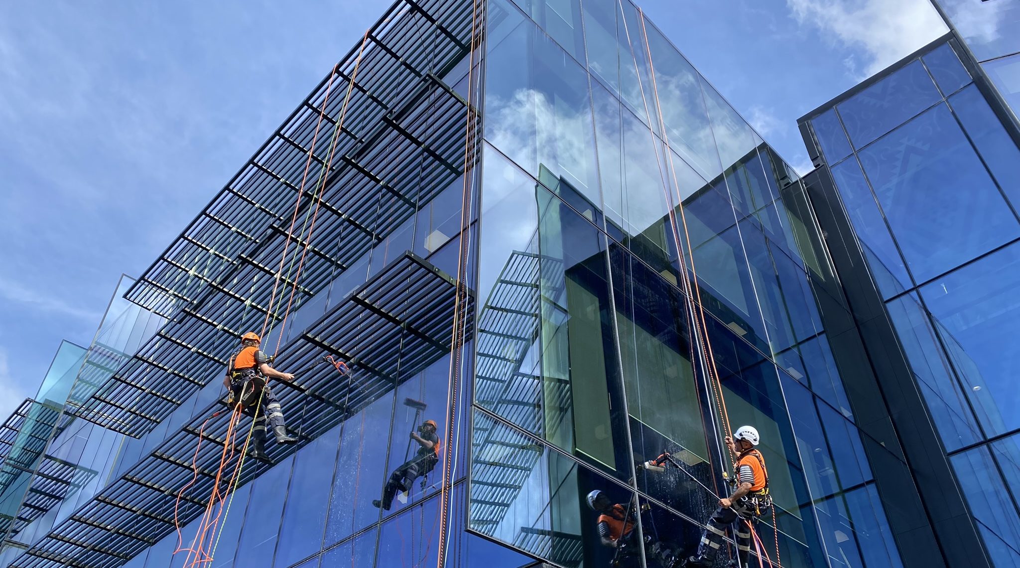 Workers cleaning the side of a glass building via rope access