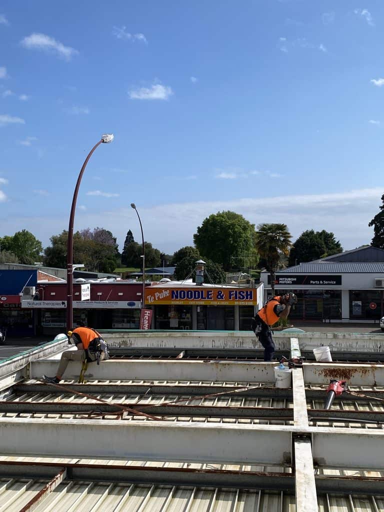 Preparing for canopy restoration